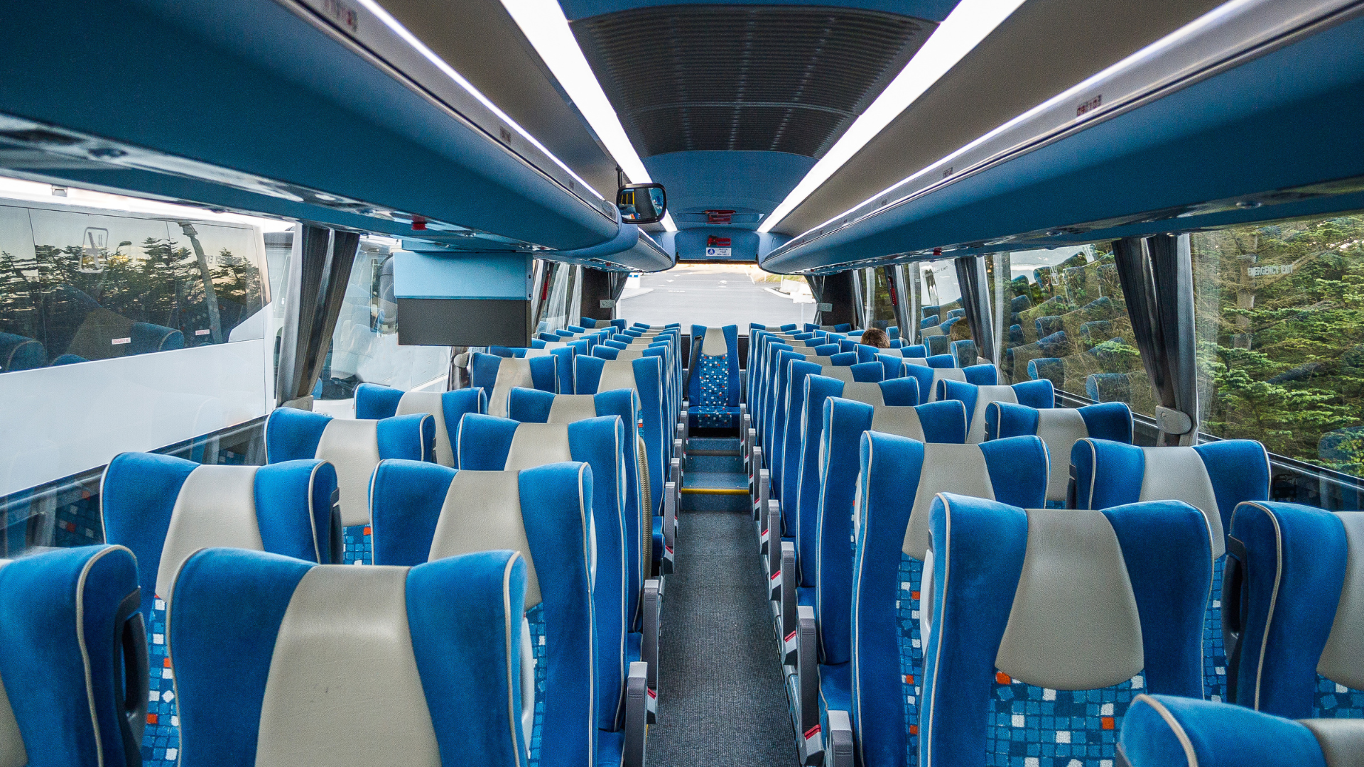 Shuttle from Hobby Airport to Galveston $30 Shared & Private