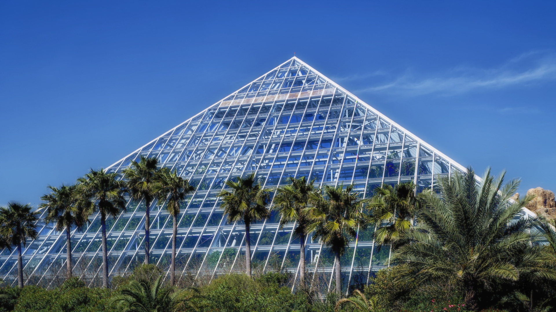 Galveston Texas to Houston | Best Affordable Transfer Options & Costs